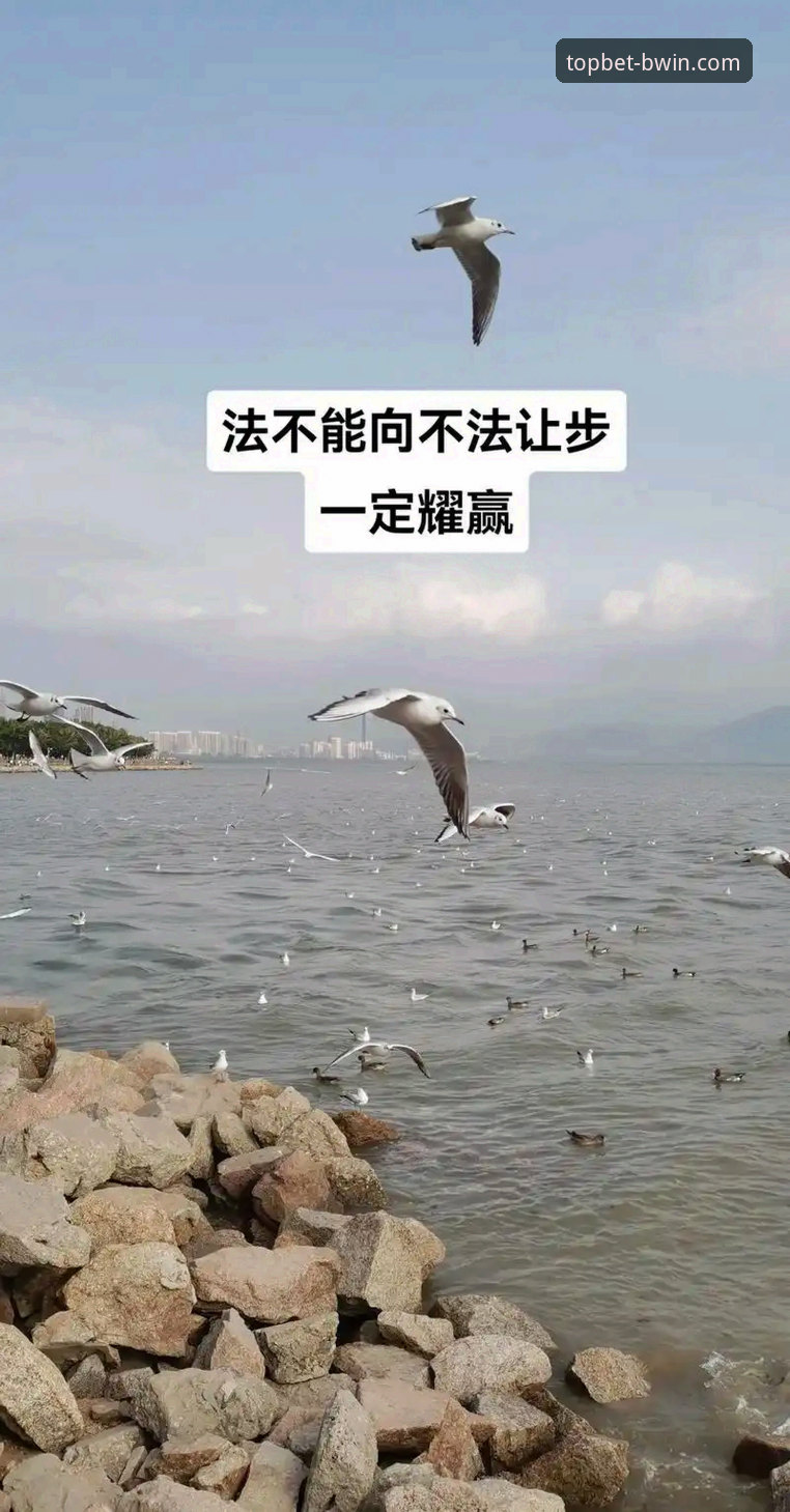 必赢体育平台核心价值深度分析：从入口选择到安全体验的全面解析